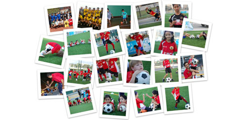 programs pic programs pic