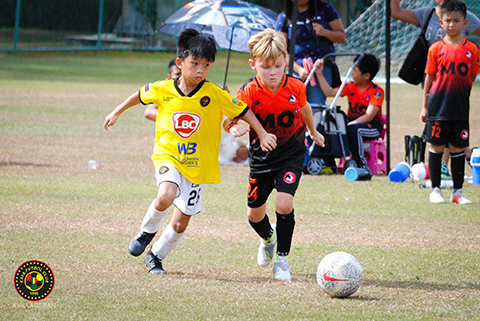 Academy Updates – June 10 – 16, 2019