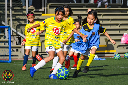 Academy Updates – January 20 – 26, 2020